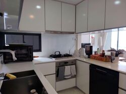 The Trizon (D10), Condominium #542966211